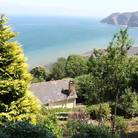 North Walk House Bed & Breakfast Lynton Dış mekan fotoğraf